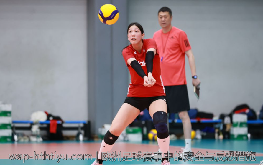 欧洲足球赛事中的安全与反恐措施