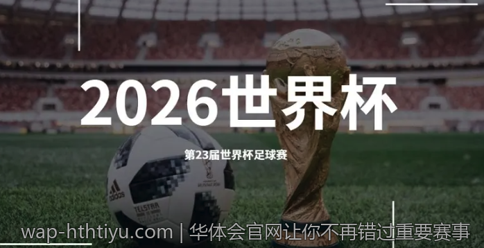 华体会入口用户体验全解析
